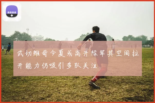 武切维奇今夏或离开绿军其空间拉开能力仍吸引多队关注